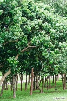 回顾一下在深圳打工的日子,来深圳打工三年了