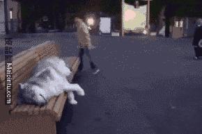 浓茶解酒最不靠谱的解酒方法,喝茶解酒的小妙招