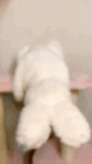 笑掉大牙的图片gif,表情包动态gif笑掉大牙