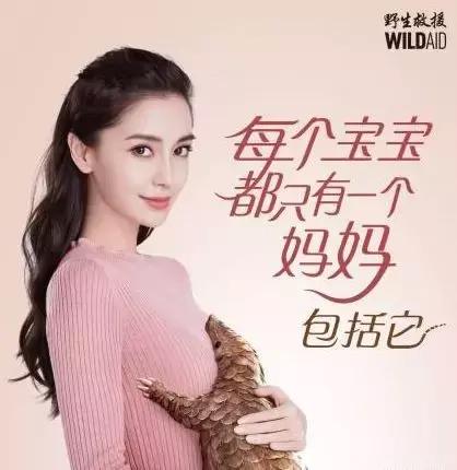 angelababy朱正廷跑男,鹿晗angelababy澄清