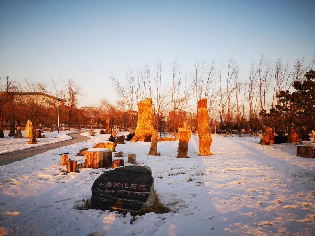 初见长春,第一次雾凇之旅不虚此行