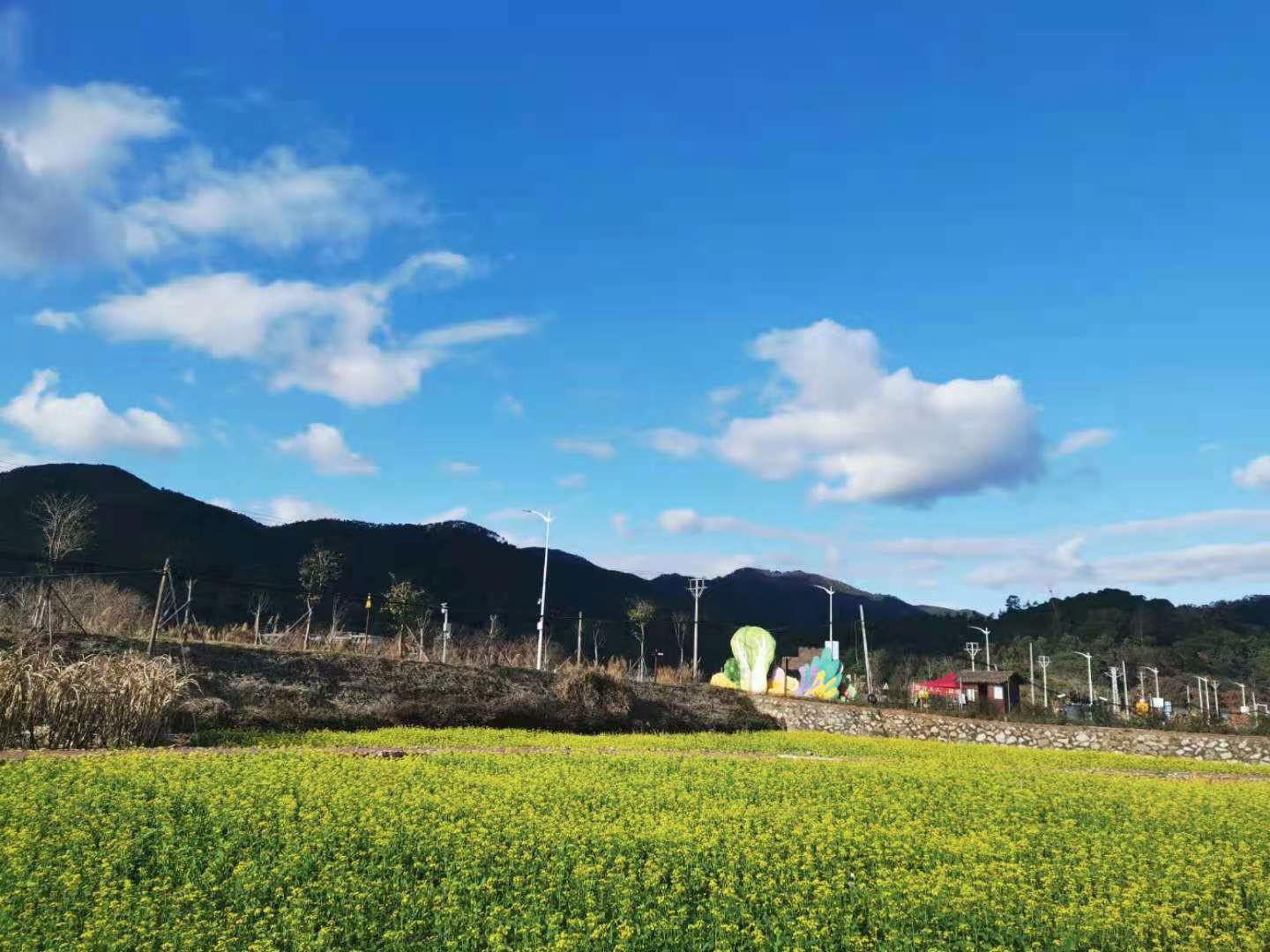 蜗牛里的春天视频素材,蜗牛的春天免费观看