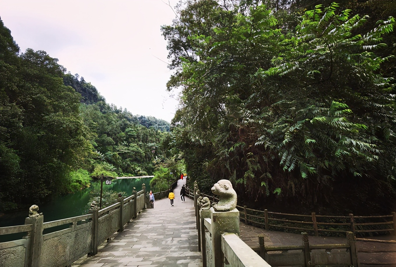 深秋峨眉风光好——「清音阁/金顶/红珠山温泉」三日行