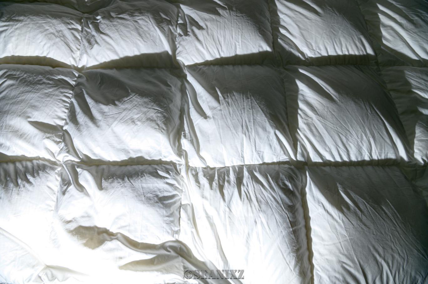 鹅绒羽绒被十大排名,高品质白鹅绒羽绒被推荐
