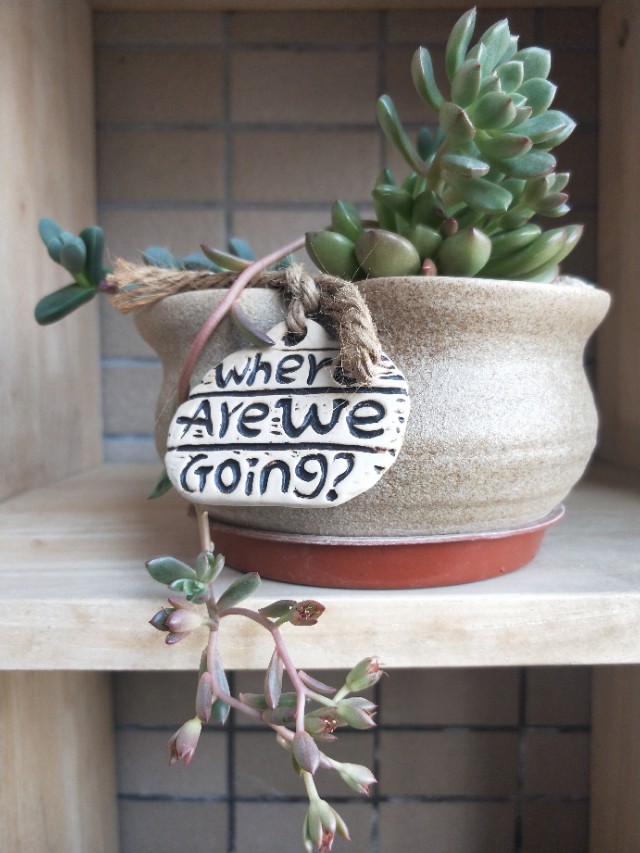 如何零成本怎么创业