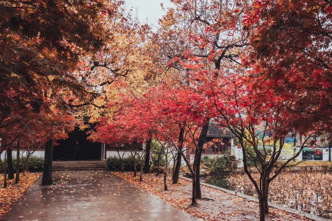 江苏什么面条好吃,江苏都有什么好吃的