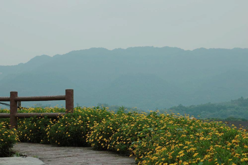 义渡古镇和走马古镇,走马古镇值不值得去