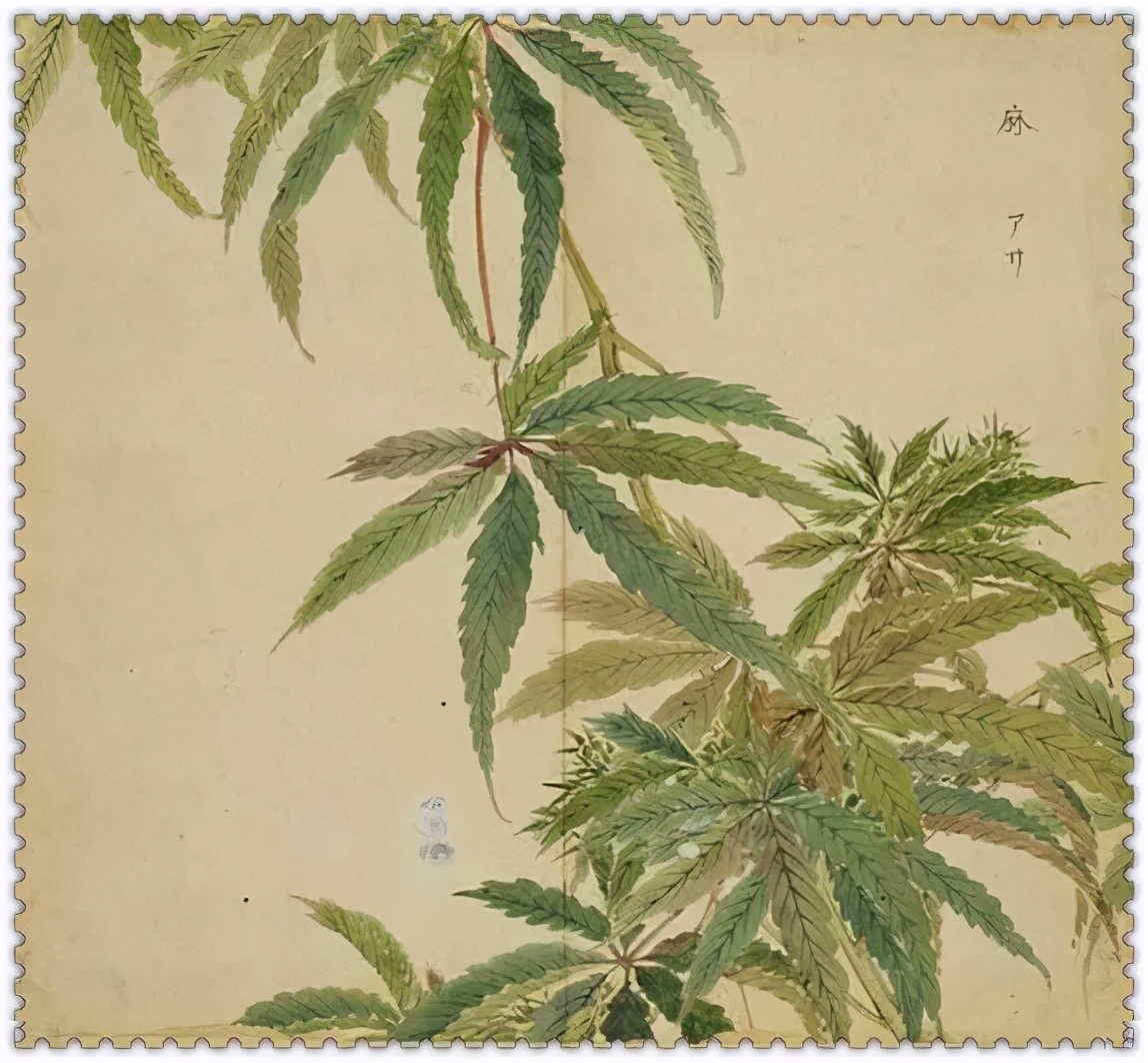 诗经中最美的春天,诗经中的春天穿越了千年