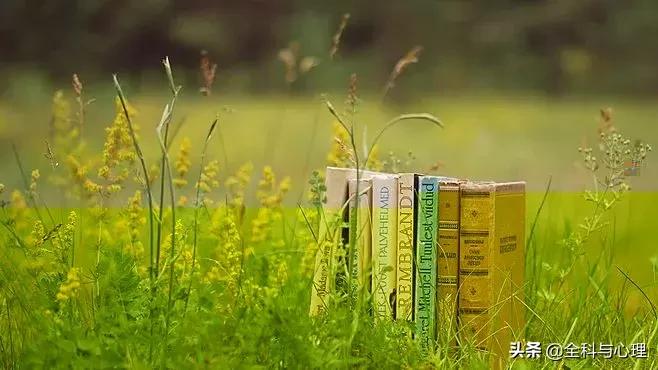 心灵鸡汤正能量工作短句,心灵鸡汤人生感悟正能量短句合集