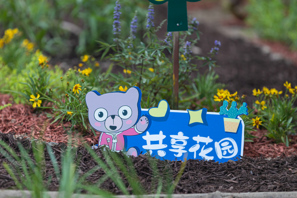 玛丽分享|香格里社区共享花园诞生记