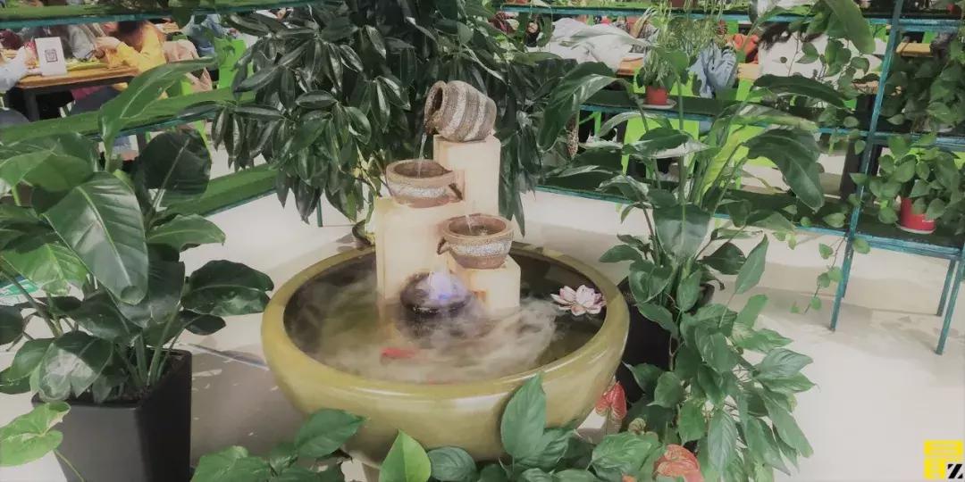 西交利物浦苏州校区,苏州西交利物浦美女