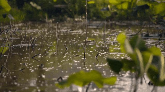 花15万跟老公离婚,女作家爱上离婚男人