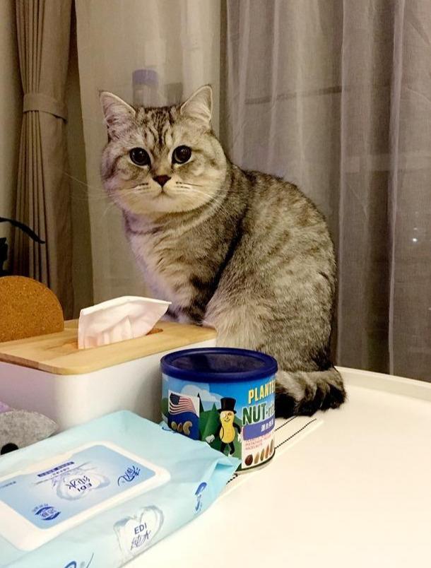 深圳装修晶志装饰89㎡新家装北欧风，地砖做美缝，漂亮极了