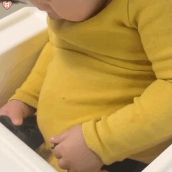 国网辽宁电力扶贫带货,电力扶贫带货记