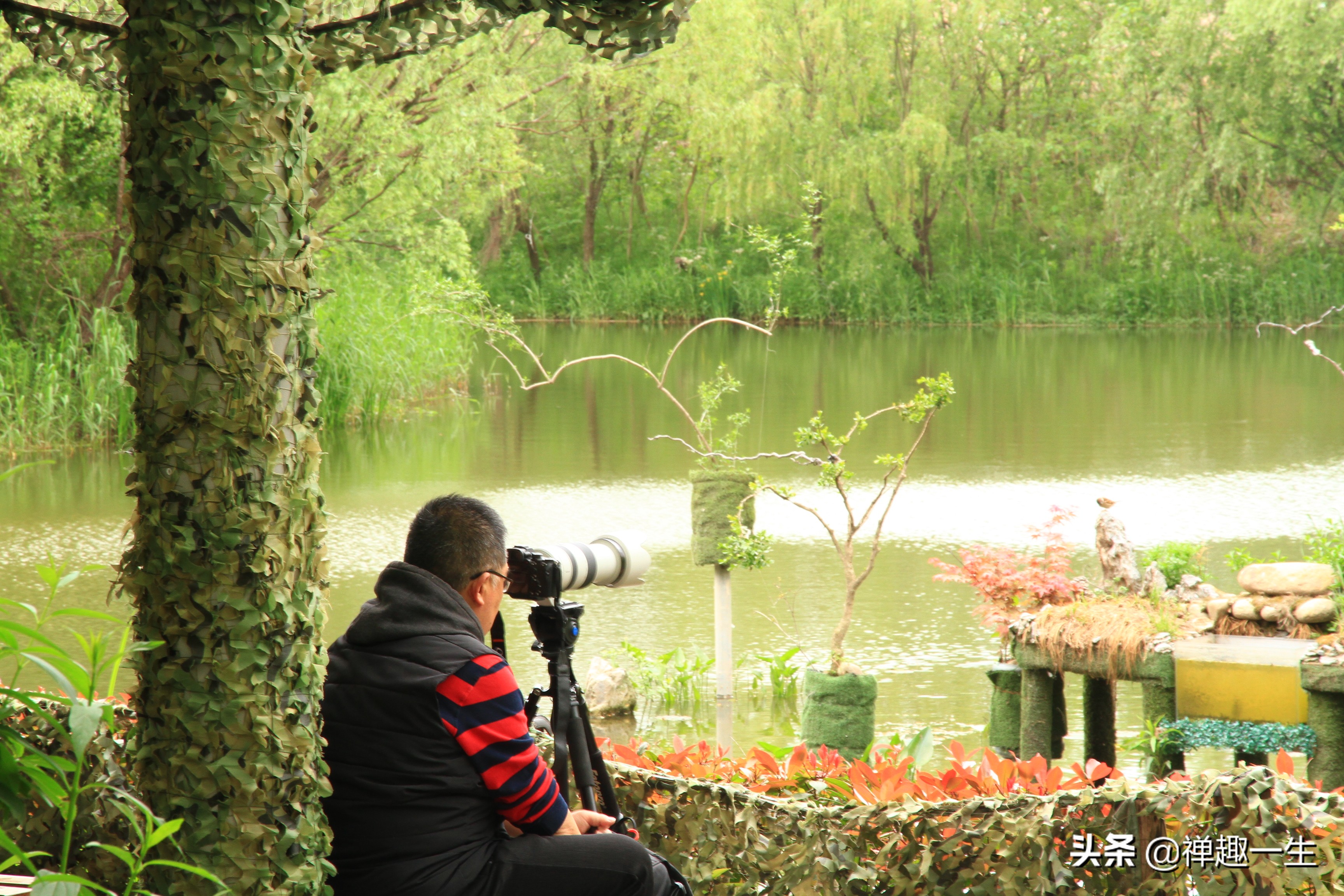九曲江湾，十里湿地，鸟语花香，沪上最美中心城区，您去过吗？