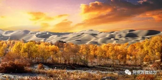 阿克苏在新疆的经济排名,阿克苏最强的县