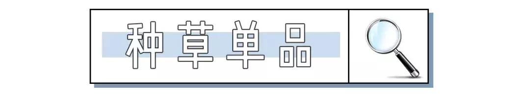 施华洛世奇现在过时了吗,施华洛世奇以后的款就不卖了吗