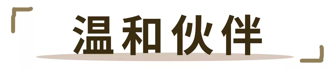 欧莱雅是大牌还是平价,欧莱雅有什么好东西