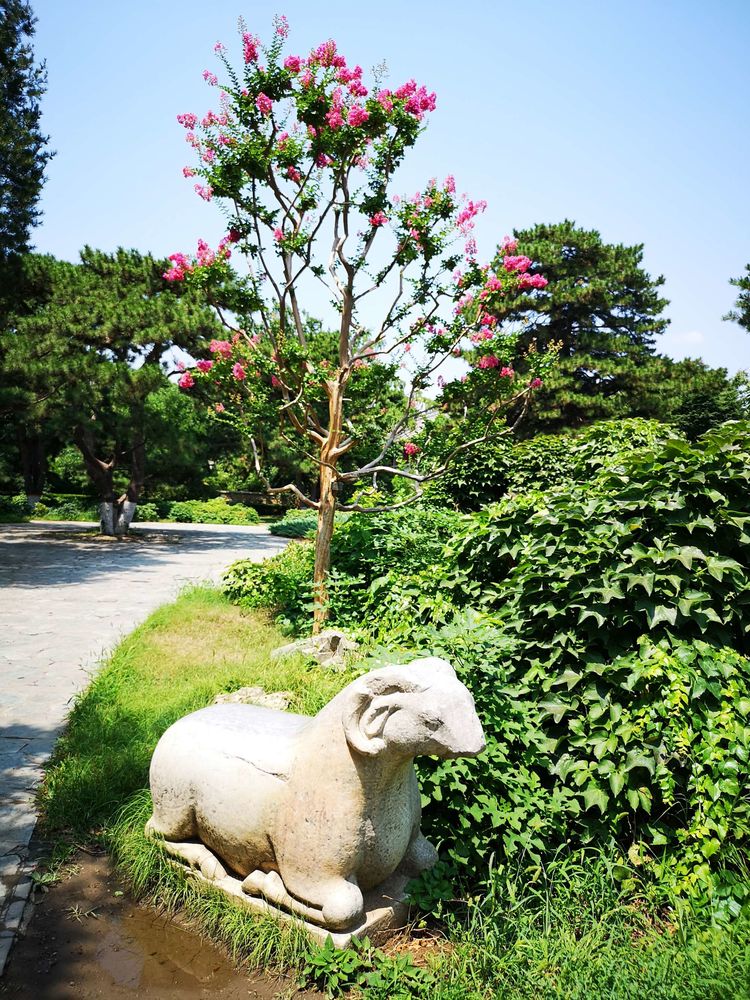 漫步北大校园,北大印象图片