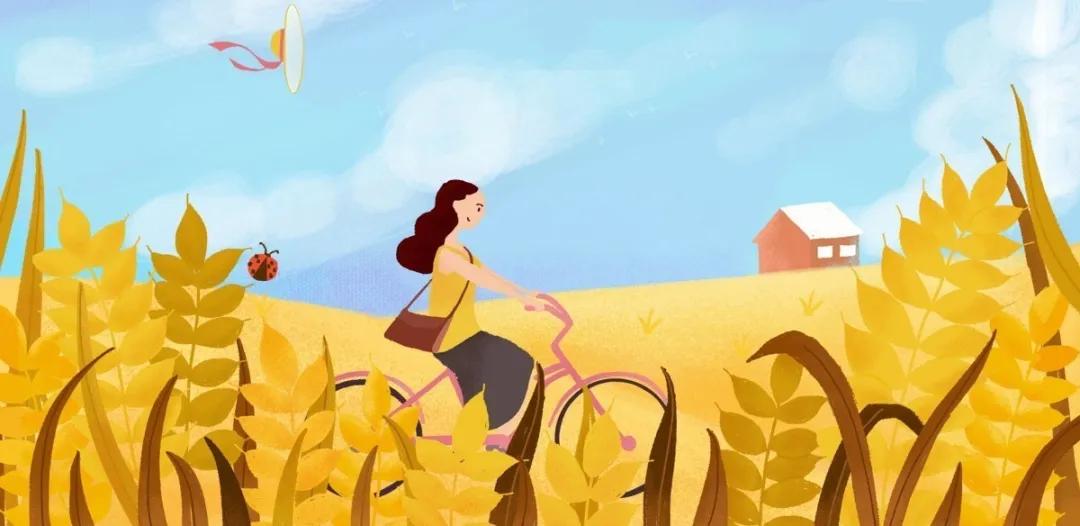 12月29号油卡充值有什么优惠,怎么办理优惠加油卡充值八五折