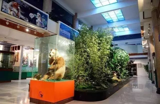 汉中周边旅游景点推荐自驾游,汉中新年到西安旅游全攻略