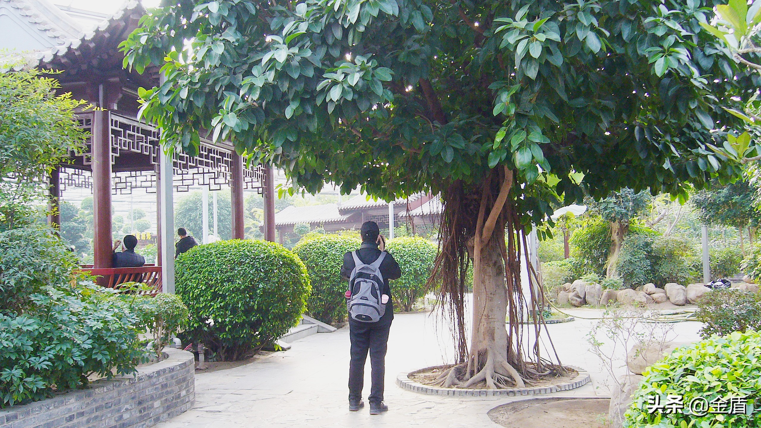 九天休闲谷俯视图,九天休闲谷适合春天去吗