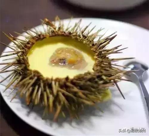 休渔期来了！接下来3个月，漳州人想吃这些海货有点难！