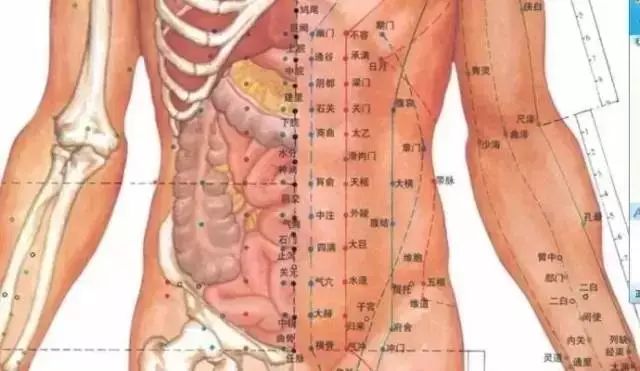 腹部出现紫色淤痕的原因,腹部淤堵导致腰部气血不足