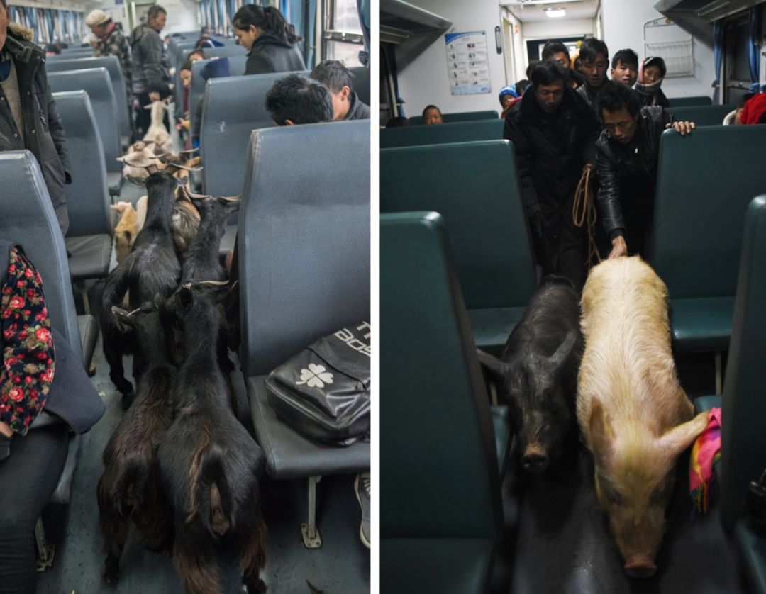 孩子坐绿皮火车看人世百态,绿皮火车才能反映生活百态