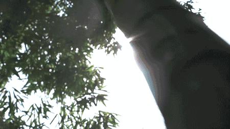 连云港本地吃海鲜攻略速来看,连云港旅游海鲜美食