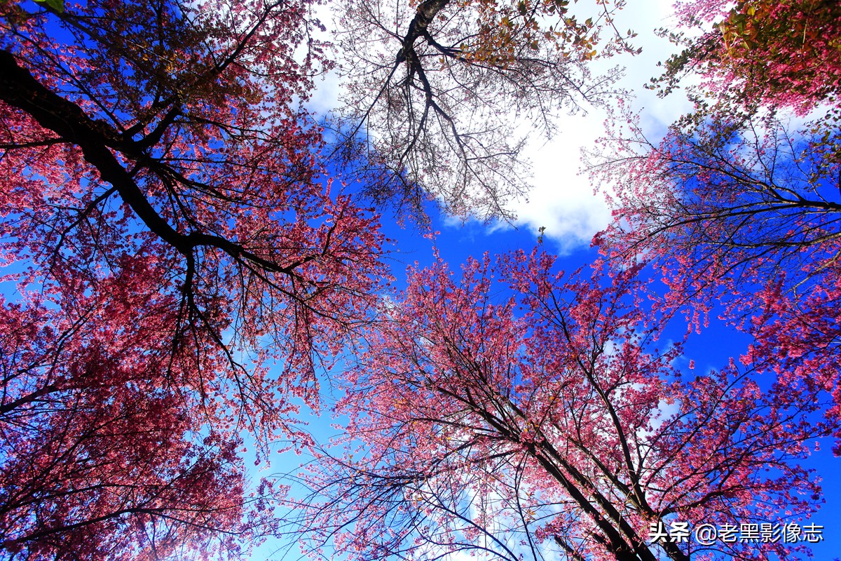 无量山镇游玩攻略一日游,无量山旅游攻略一日游多少钱