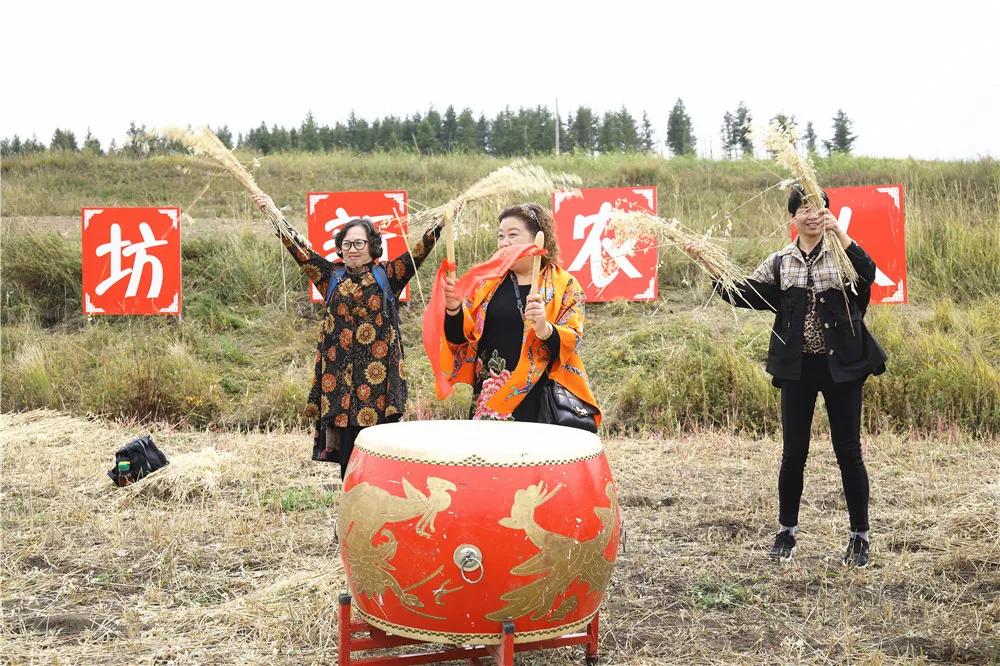 第三届中国农民丰收节汝南,益阳市第三届中国农民丰收节举行