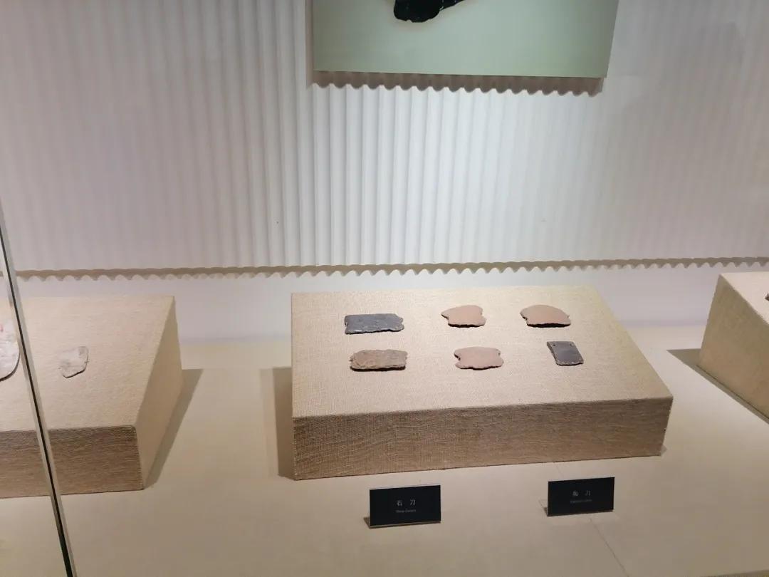 世界博物馆排名卢浮宫,国家博物馆历史博物馆