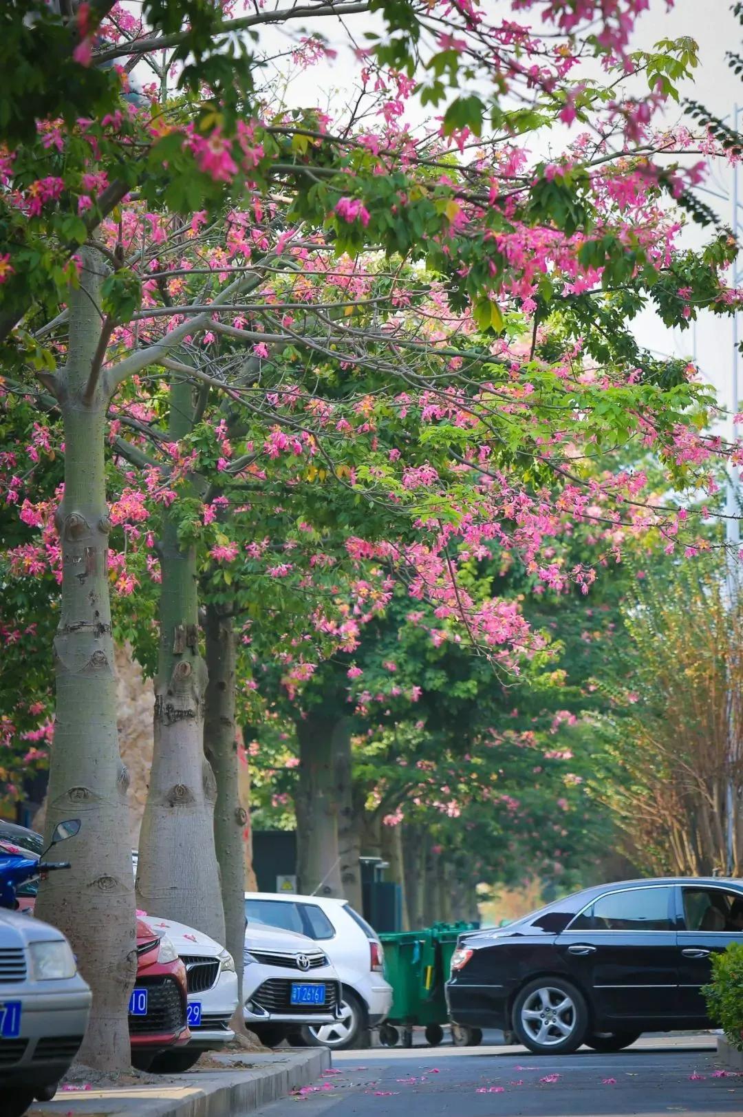 珠海买房过冬真实感受,在珠海买房十大秘诀