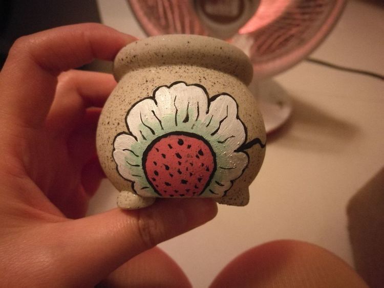 误打误撞的多肉情缘,带我走进多肉小世界!