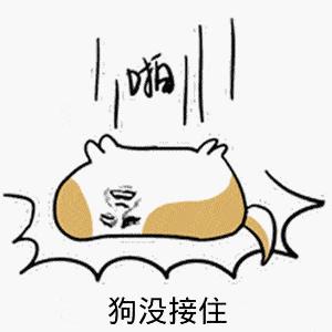 猫咪狗狗骨折了怎么办？扒一扒宠物“骨子里”的那些事