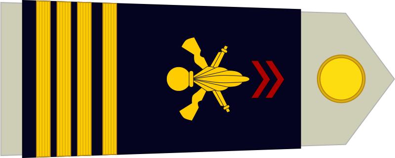 法国将军军衔等级,法国上校是什么军衔