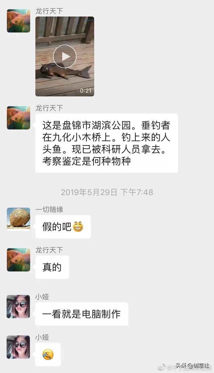 沙雕之间笑喷的聊天记录,沙雕日常搞笑聊天记录