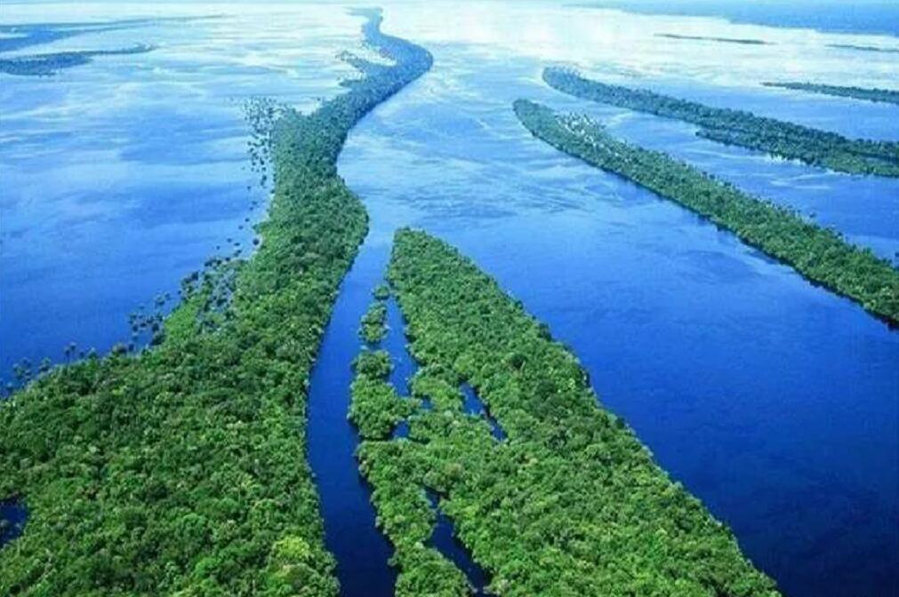 亚马逊河上面为什么不修桥,亚马逊河到底有多可怕没有大桥