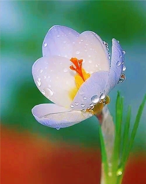 记错生日的文案,记错的生日阅读