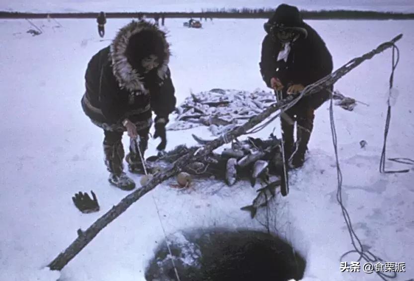 到底什么是垃圾食品,汉堡垃圾食品对比图