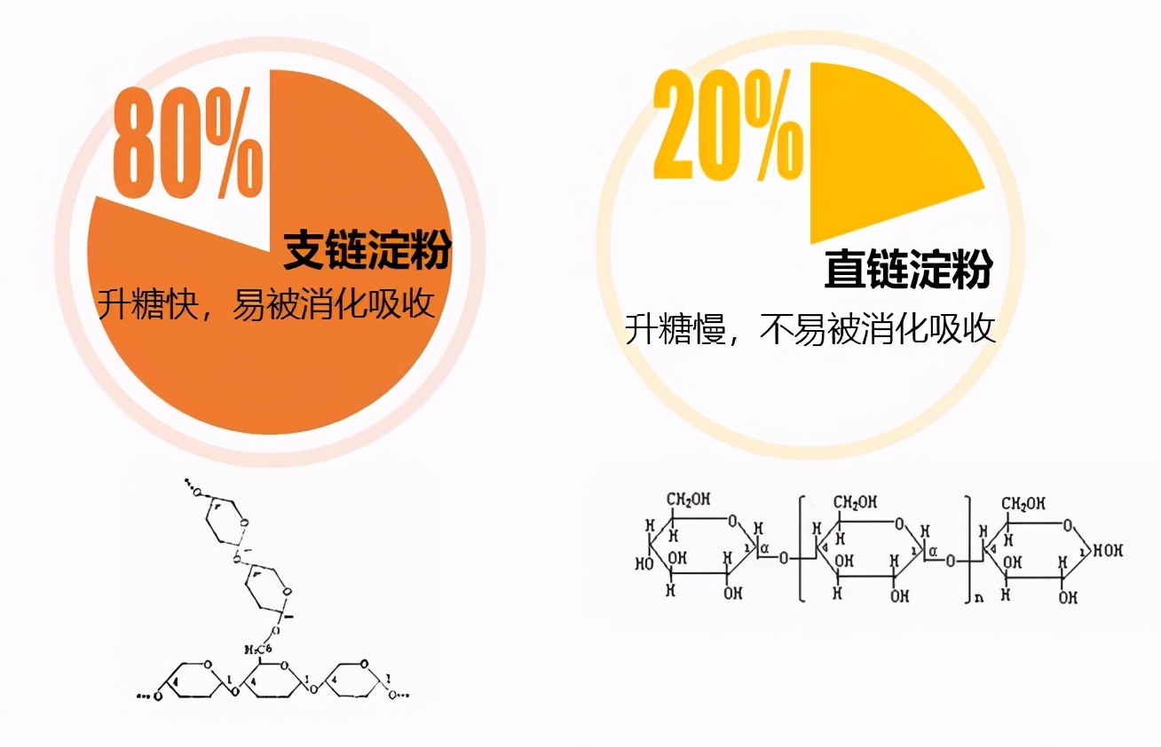 十大建议买的电饭锅推荐,推荐几款实用电饭锅