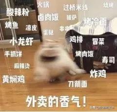 为什么不要吃20块钱的外卖,为什么不能点10几块钱的外卖