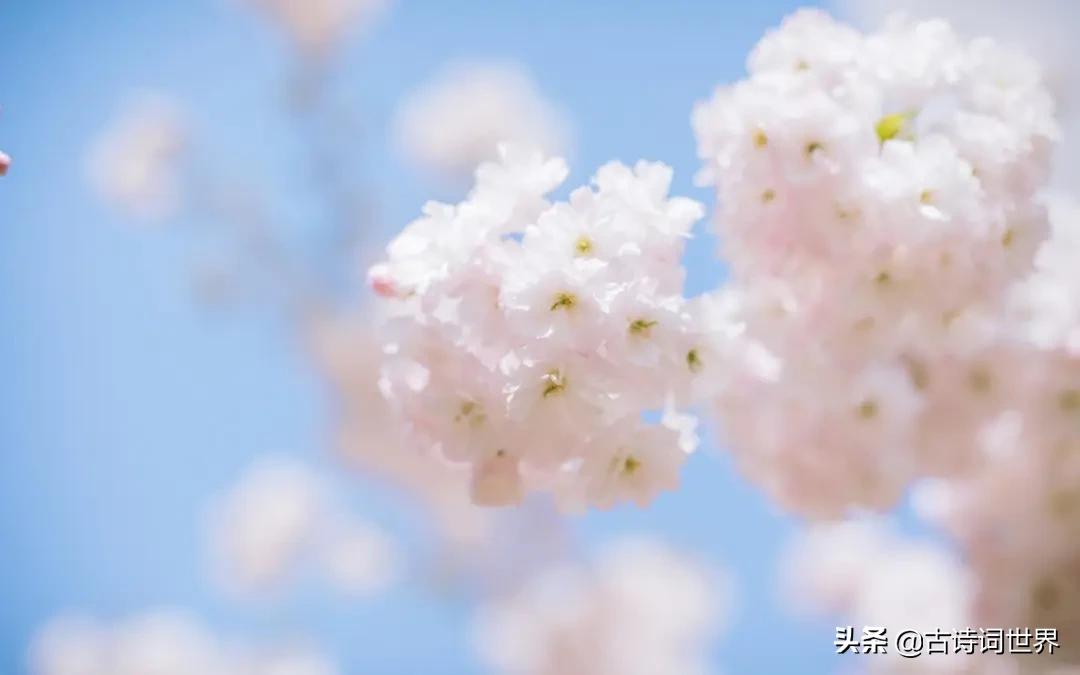 您语文好,请来读读试试,防老年痴呆