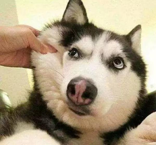 曝光|姨妈巾到底有多“脏”？你有权知道！