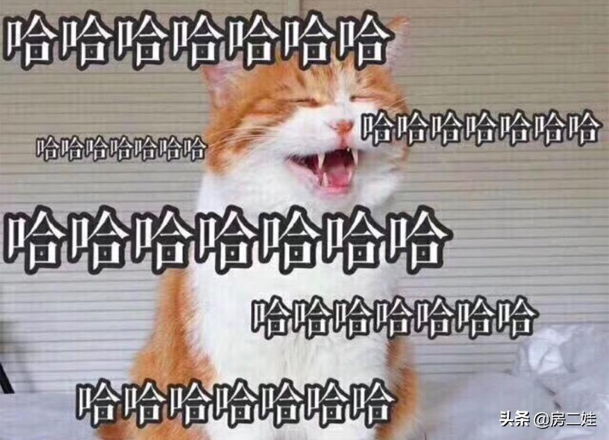 低于市场价把房子卖了,低于市场价500把小房子卖了