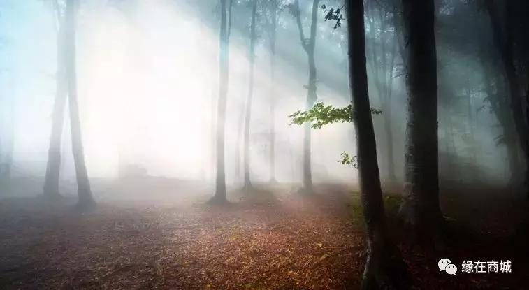 「品读」我的前男网友——以后真的不单独见面吗?/江河之王