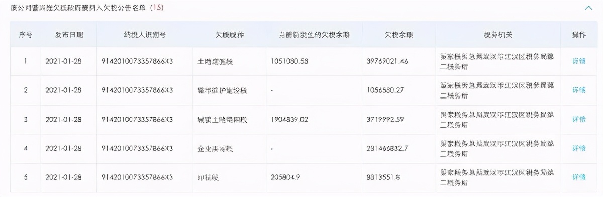 泛海控股(000046.SZ)转型不顺,武汉CBD建设受拖累