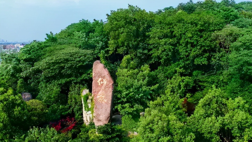 有一种幸福，叫在仙林上大学