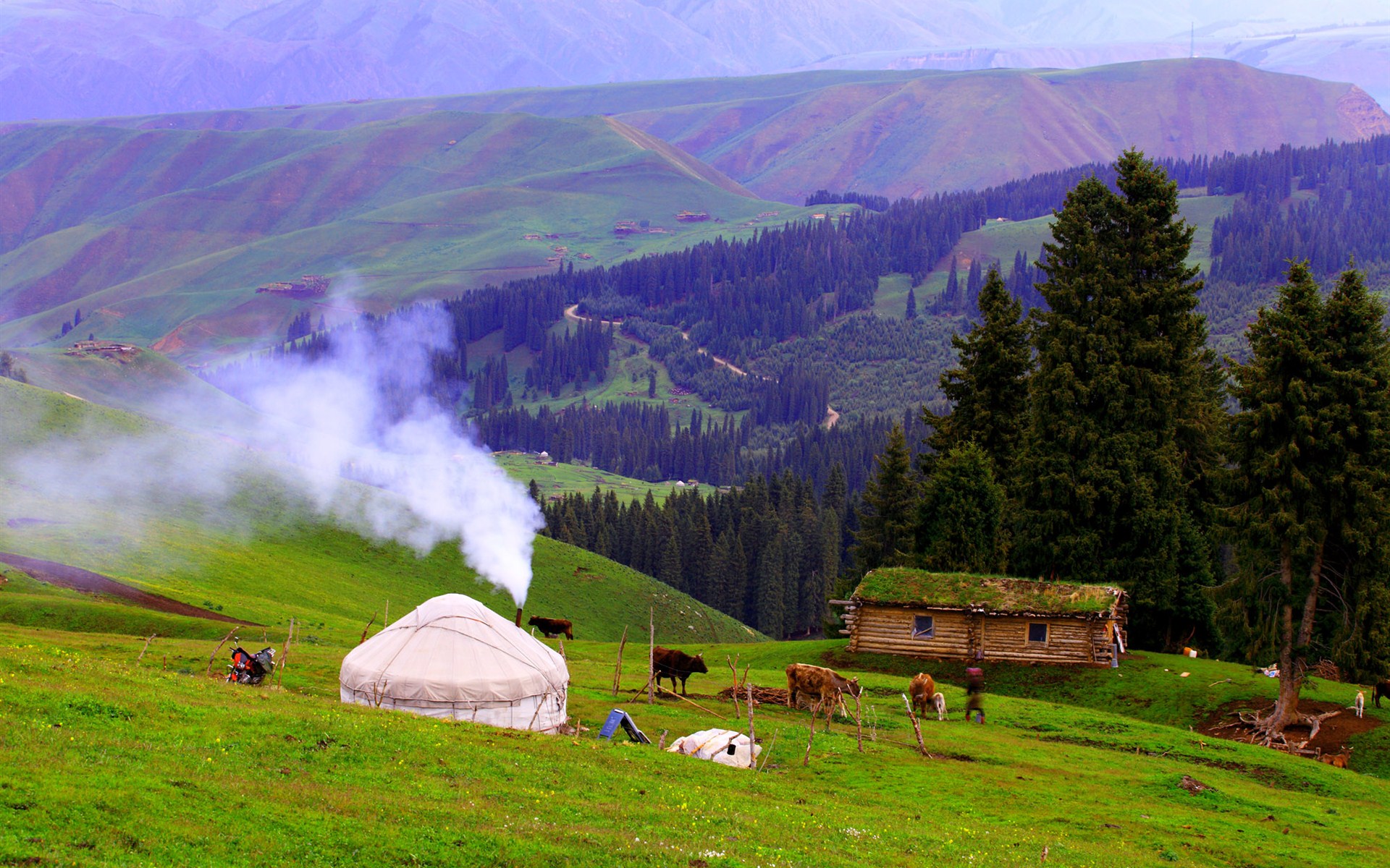 最美的护眼桌面壁纸,超清晰2340x1080曲面屏护眼壁纸